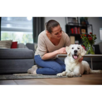 9eem8p-floor_care-003-8