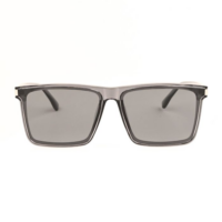 ce1gda-sunglasses-480-2